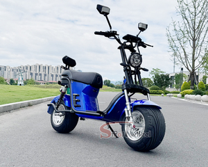 Scooter électrique brésilien Harley Citycoco, nouveau modèle avec moteur avant sans balais de 1000W, 60V20Ah, pneus larges, best-seller au Brésil - Product Image 4