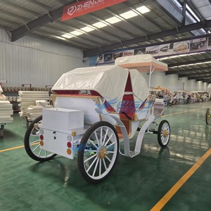 Carroza Eléctrica Cubierta de Alta Eficiencia y Ahorro de Energía, de Largo Alcance, con Piezas Personalizadas para Eventos Panorámicos y Bodas, Suministro Directo de Fábrica - Product Image 4