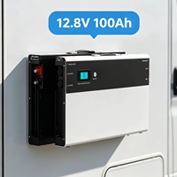 Modul Penyimpanan Energi Kompak Baterai LiFePO4 Slim 12V 100Ah yang Ramping dan Terpasang di Dinding untuk Penggunaan Daya Harian di Camper Van