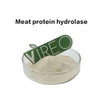 Hydrolase Protéinique de Viande en Poudre Jaune Clair Marque Vireo pour l'Amélioration des Saveurs de Viande et des Assaisonnements de Bouillons 5000U/g