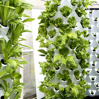 Tour, jardin, système hydroponique vertical pour la plantation