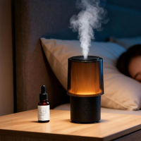 Diffuseur d'huiles essentielles le plus récent, lampe de nuit minimaliste, diffuseur d'arômes électrique portable, humidificateur d'air ultrasonique pour hôtel et maison