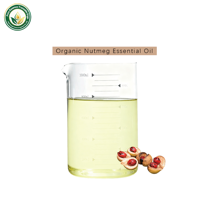 Huile essentielle de muscade 100% pure et biologique (Myristica Fragrans) distillée à la vapeur, qualité alimentaire et cosmétique, vente en gros, approvisionnement direct usine