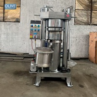 Automatische hete pers kokosolie persmachine voor kleine bedrijven, geschikt voor 220V amandeloliepersen.