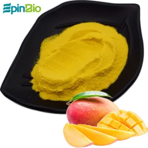 Precio de polvo de mango instantáneo de grado alimenticio puerta a puerta