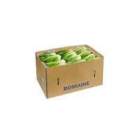 Vente en gros de boîtes d'emballage libres pour fruits, tomates, bananes en carton boîtes d'emballage pour légumes ondulés boîte d'emballage en carton d'expédition