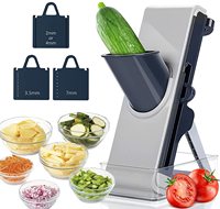Keukenhulp Multifunctionele Plastic Eenvoudige Voedselsnijder Aardappel Wortel Vlees Snijder Groente Mandoline Snijder