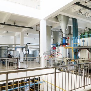 Línea de Producción Automática de Refinación por Prensado en Frío y Caliente de 30 TPD para Aceites de Palma, Nuez y Oliva - Marca Dingsheng, Larga Vida Útil - Product Image 5