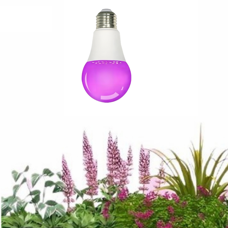 Hot Selling Full Spectrum LED Grow Light Bulb with White and Red Lights for Indoor Plants Bloom Support