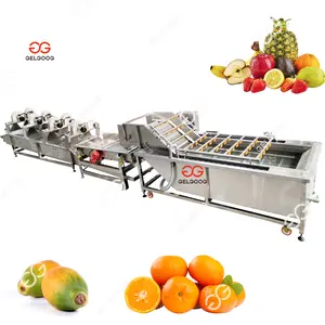 Industrial Apple Fruit Washer Orange Pineapple Cleaning and Grading Machine Fruit Cleaning Sorting Machine