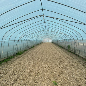 Landbouwkas voor tomaten en aardbeien, enkelspan, speciaal voor PE/PO-kassen, plastic folie kas - Product Image 4