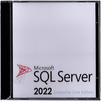 SQL Server 2022 엔터프라이즈 DVD 팩 글로벌 온라인 정품 인증 인터넷 풀 버전 라이선스 키 빠른 배송 6개월 보증