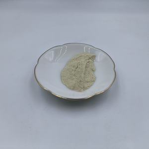 Bromelain Powder Wholesale Price <b>Food</b> Grade Pineapple Extract 2400GDU Bromelain Powder - Product Image 4