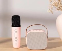 Microphone extérieur, haut-parleurs Bluetooth, haut-parleur karaoké portable pour enfants