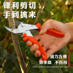 Sécateur double pour pin, acier SK5, trempage haute fréquence, manche orange, pour la taille des arbres fruitiers - Product Image 3