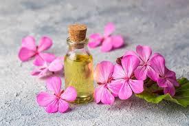 Aceite Esencial de Geranio Premium para Aromaterapia y Cuidado Personal, Aceite Botánico Destilado al Vapor para Difusor y Masajes - Product Image 4