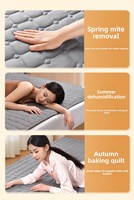 Matelas chauffant à circulation d'eau pour hôpital Quatre Saisons, fonction de minuterie, 100 % polyester, pour la maison, les voyages, l'hôpital, les pique-niques