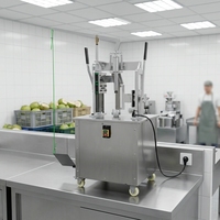 Machine à ouvrir et à peler les noix de coco semi-automatique multifonction pour les jeunes noix de coco