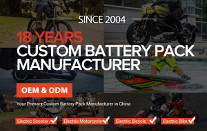 ชุดแบตเตอรี่เซิร์ฟบอร์ด,ชุดแบตเตอรี่เซิร์ฟบอร์ดแบบปรับแต่งได้ - Product Image 6