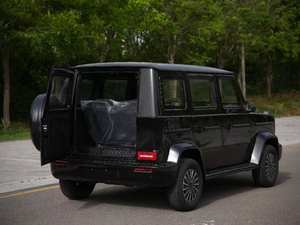 Veicolo Elettrico 2026 DG 5 Posti Guida a Sinistra, Basso Consumo Energetico, Trazione Anteriore, Veicolo Domestico a Quattro Ruote - Product Image 4