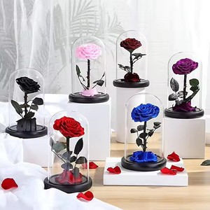 <span class=keywords><strong>La</strong></span> <span class=keywords><strong>Belle</strong></span> Bête Enchantée Bella Rose Fleur Préservée dans un Dôme de Verre - Product Image 2