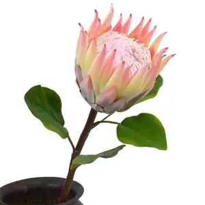 Flores Atacado Rose Decoração Casamento Rosas Seda Hortênsia Presentes Tulipa Única Folha Tropical Bouquet Bin Flor Artificial