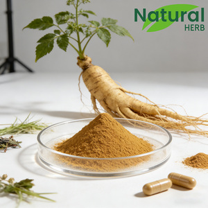 Doğal Panax <span class=keywords><strong>Ginseng</strong></span> Ekstresi %5 ila %80 Ginsenositler Yüksek Saflıkta Bitkisel Takviye GMP Sertifikalı - Product Image 2