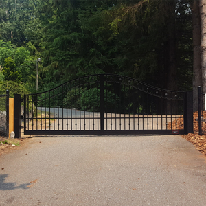 Porte principale européenne en fer forgé Conception de poignée de porte en fer forgé - Product Image 5