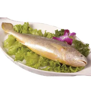 China Halal High Quality Wholesale Small Fish Yellow Croaker Fresh Frozen Fish Price Argentina