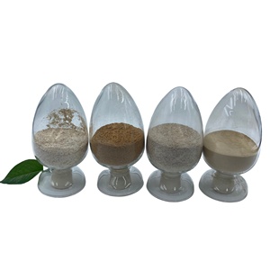 Tinh bột chuyển đổi enzyme trong giấy và bột giấy ngành công nghiệp - Product Image 4