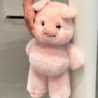 Peluche cochon mignon en pose de course, poupée cochon, peluches vache des Highlands, peluche animale à poils longs et duveteux, cadeau d'anniversaire pour enfants