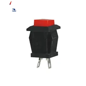 DS-430 Good Quality On-(Off) Momentary 2 Pin Terminals 3A 125Vac 1A 250Vac Small Plastic Push Button Switch