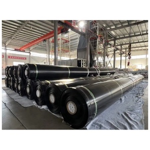 Géomembrane en polyéthylène noir OEM/ODM: 0.5-2.0mm, texture double face, quantité minimale de commande 1000m2, revêtement de <span class=keywords><strong>lagon</strong></span> minier pour l'industrie agricole - Product Image 2