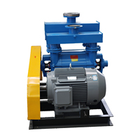 Pompe à vide à anneau liquide électrique horizontale haute pression personnalisable OEM série BOYUAN 2BE pour l'industrie papetière