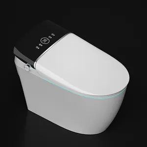 Comò elettrico automatico elettronico senza serbatoio intelligente Wc di lusso coreano a distanza Wc intelligente