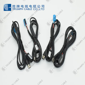 Триумф кабельный заводской автомобильный Автомобильный Двигатель мотоциклетный монтажный кабель Jst под заказ автомобильный жгут проводов соединитель - Product Image 5