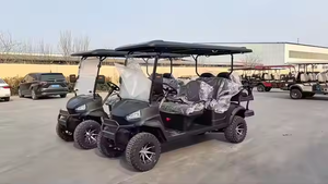BRT Holladay Electric Off-Road Golf Cart & Tricycle with 6 Passenger Capacity Open Body Lithium <b>Iron</b> Phosphate Battery 2026 - Product Image 2