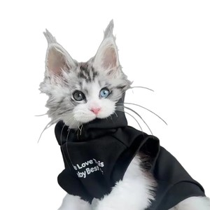Sweat-shirt d'hiver chaud doublé polaire pour <span class=keywords><strong>chat</strong></span>, vêtements pour <span class=keywords><strong>chat</strong></span> sans poils Sphynx, vente en gros - Product Image 5