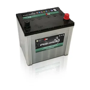 Système Start-stop Palma EFB Batterie de voiture électrique MF 12V 60Ah Plomb-acide scellé dans des batteries AGM