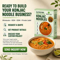 OEM Konjac Noodles High Protein Gluten Free Private Label Custom Packaging No Need Cook Shirataki Wholesale Factory