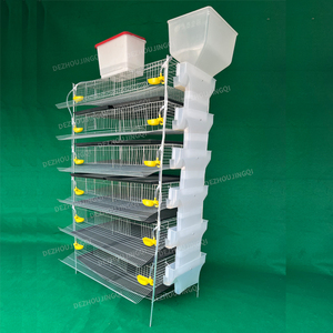 Cages d'élevage de cailles pour l'agriculture avicole, cages à batterie pour cailles pondeuses à vendre - Product Image 2