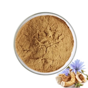 All'ingrosso naturale antistress supporto per la salute dell'intestino 10:1 estratto di radice di cicoria in polvere - Product Image 1
