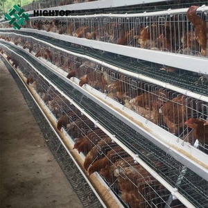 Aves <span class=keywords><strong>de</strong></span> corral capa jaulas <span class=keywords><strong>de</strong></span> pollo para kenya gallina <span class=keywords><strong>granja</strong></span> - Product Image 4