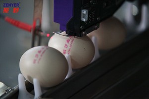 Zenyer ตลับหมึก400H พิมพ์ไข่ที่ใช้กันอย่างแพร่หลาย - Product Image 6