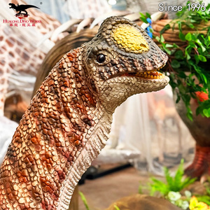 Modelo de Dinosaurio Animatrónico Realista, Robot de Simulación de Dinosaurio de Tamaño Pequeño, Parque Temático de Dinosaurios Personalizado - Product Image 3