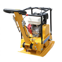 Compacteur à plaque thermique portatif certifié CE, capacité 175 kg, à vibration réversible ou directe, pour la compactation du sol, à vendre