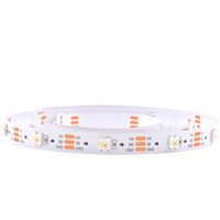Bande LED à pixels RGBW SK6812 haute efficacité, étanche IP65, avec application, certifiée CE, pour éclairage de mariage et de salle de danse