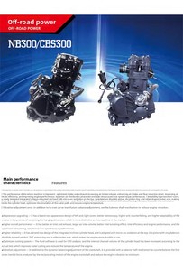 NB300 <b>Engine</b> <b>Assembly</b> Modified 300cc <b>Motorcycle</b> Water-Cooled Four-Valve ZS174MN-5 New Large Displacement 4-stroke Racing - Product Image 5