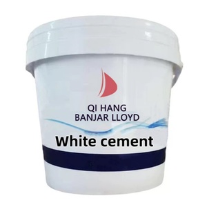 52.5 High-quality Industrial Grade White Portland <b>Cement</b> 42.5 Rapid Hardening Low Heat Mortar Putty Powder Good Brand - Product Image 1