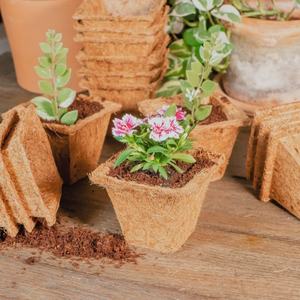 Macetas de Fibra de Coco Biodegradables para Plantas, Hechas con Cáscara de Coco Colgante - Product Image 4